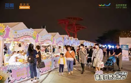 萌宠自然艺术节嘉年华：夜间嘉年华的摊位与参与者