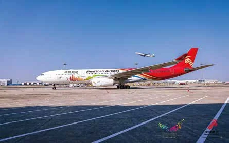 深圳航空深圳号飞机发布仪式：机场机坪上的深圳航空飞机